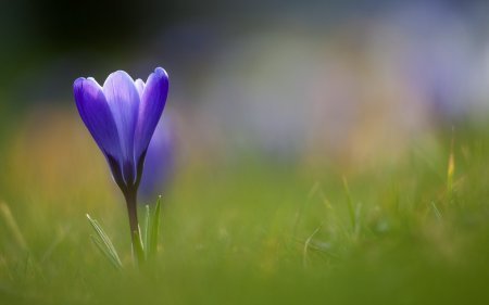 Лето, ах лето...)