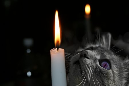 Лучшие фото 2014 года....часть 4. Лучшие фото 2014 года....часть 4.
