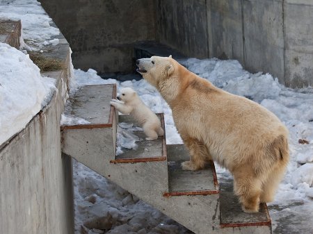 Лучшие фото 2014 года....часть 4. Лучшие фото 2014 года....часть 4.