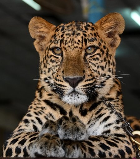 Лучшие фото 2014 года....часть 4. Лучшие фото 2014 года....часть 4.