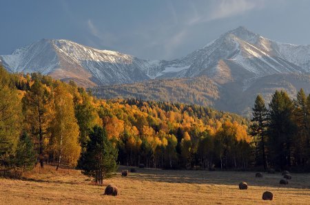 Лучшие фото 2014 года....часть 4. Лучшие фото 2014 года....часть 4.