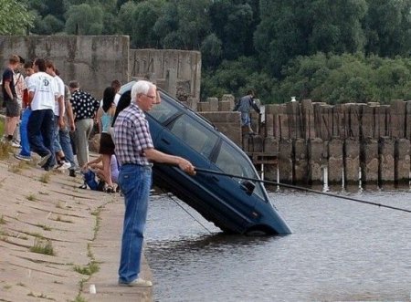 Любитебям прикольных картинок новый пост.