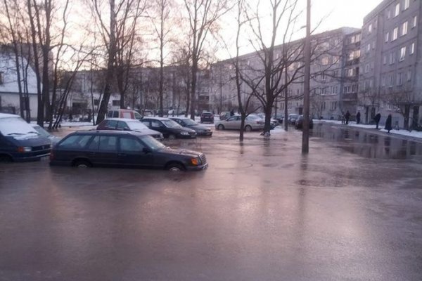 Прикольные картинки (92 фото)