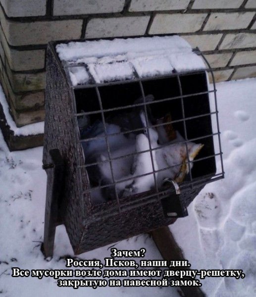 Прикольные картинки (92 фото)