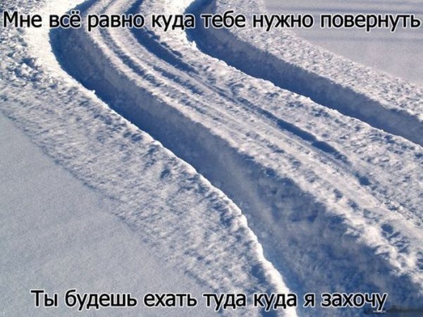 Прикольные картинки (92 фото)