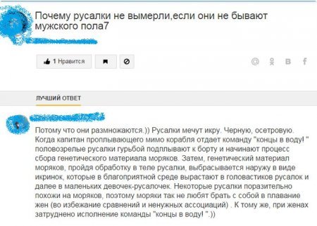 В старый Новый Год новые прикольные фото. В старый Новый Год новые прикольные фото.