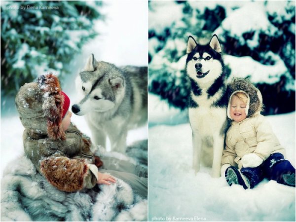 Очаровательные дети и животные в лесу (20 фото)