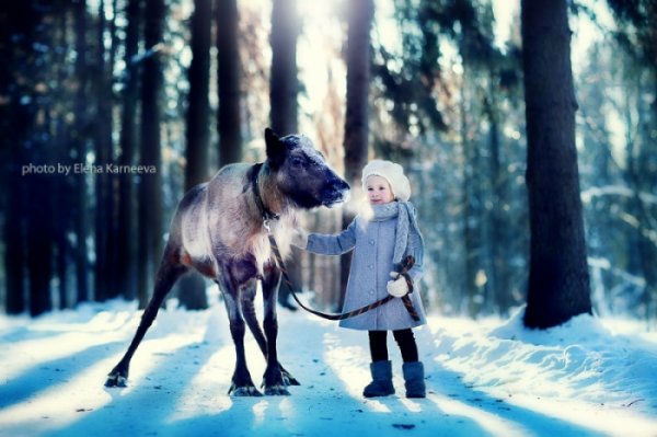 Очаровательные дети и животные в лесу (20 фото)