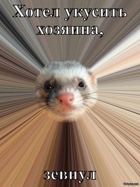 Подборка комиксов и приколов №265 (20 картинок) Подборка комиксов и приколов №265 (20 картинок)