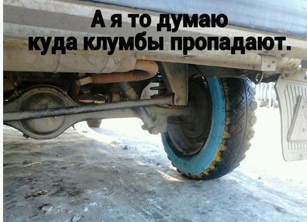 Подборка автоприколов (28 фото)
