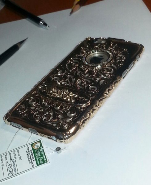 Чиновник подарил жене чехол для iPhone 6 за 550 000 рублей (3 фото)