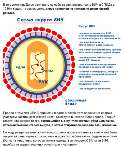 Смертельные заболевания от животных (27 фото) Смертельные заболевания от животных (27 фото)