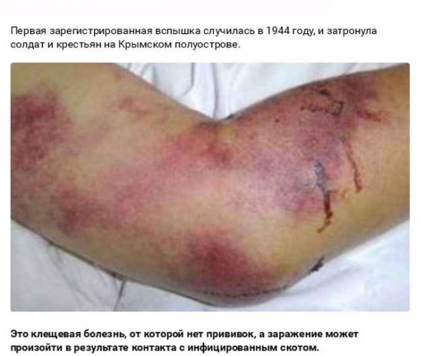 Смертельные заболевания от животных (27 фото) Смертельные заболевания от животных (27 фото)