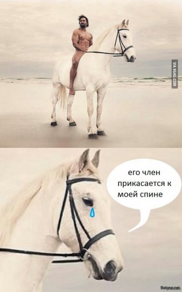 Подборка комиксов и приколов №271 (25 картинок) Подборка комиксов и приколов №271 (25 картинок)