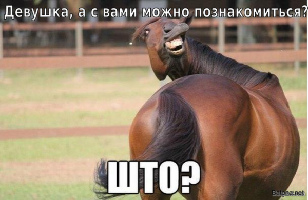 Подборка комиксов и приколов №271 (25 картинок) Подборка комиксов и приколов №271 (25 картинок)