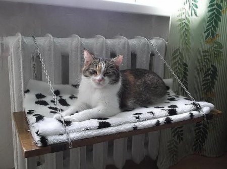 Прикольные картинки, отдыхаем хорошо. Прикольные картинки, отдыхаем хорошо.