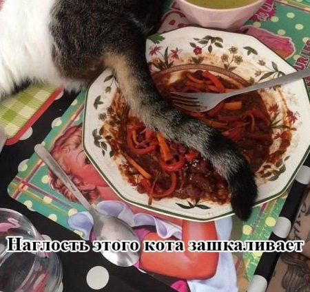 Прикольные фото, простые решения.