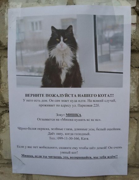 Прикольные фото, простые решения.