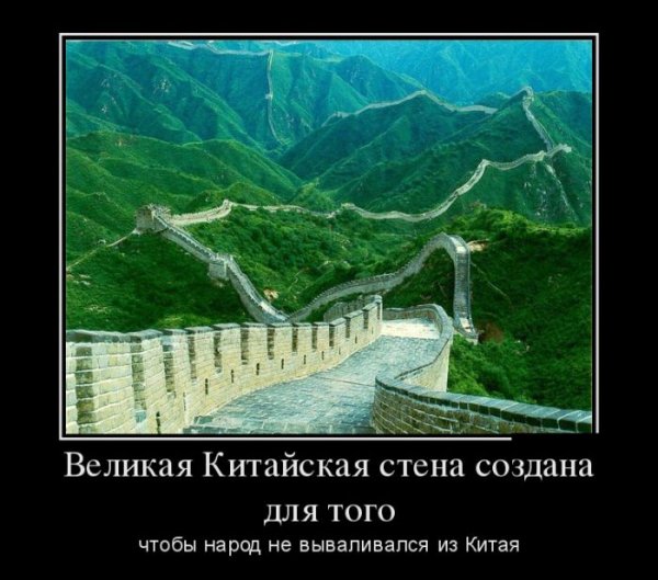 Демотиваторы №1010 (30 фото)