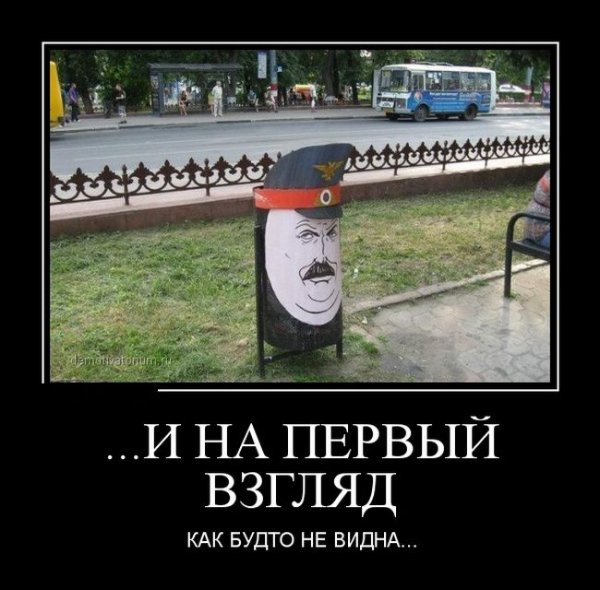 Демотиваторы №1010 (30 фото)