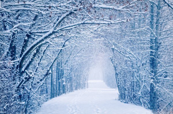 Зима - это настоящее волшебство (17 фото)