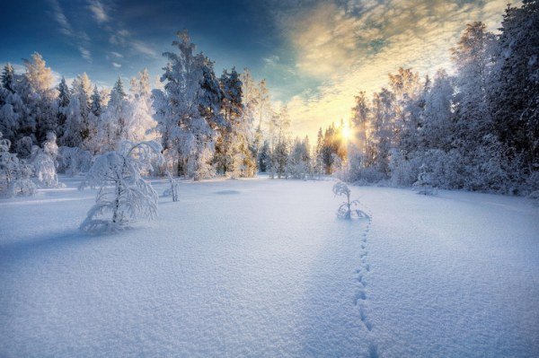 Зима - это настоящее волшебство (17 фото)
