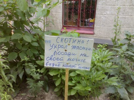 Картинки, всегда прикольные. Картинки, всегда прикольные.