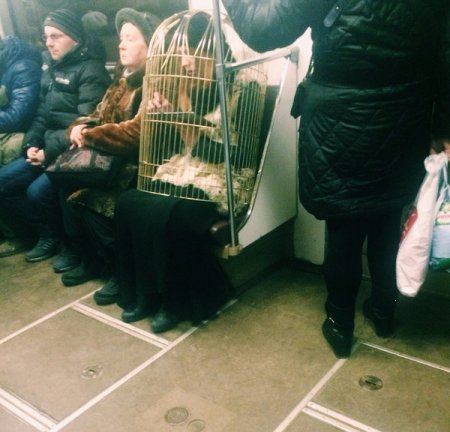 Картинки, всегда прикольные. Картинки, всегда прикольные.