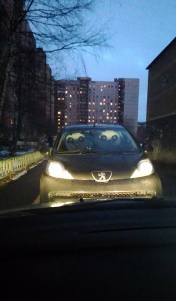 Картинки, всегда прикольные. Картинки, всегда прикольные.