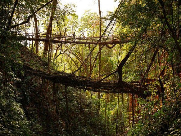 Самое влажное место на Земле (19 фото) Самое влажное место на Земле (19 фото)