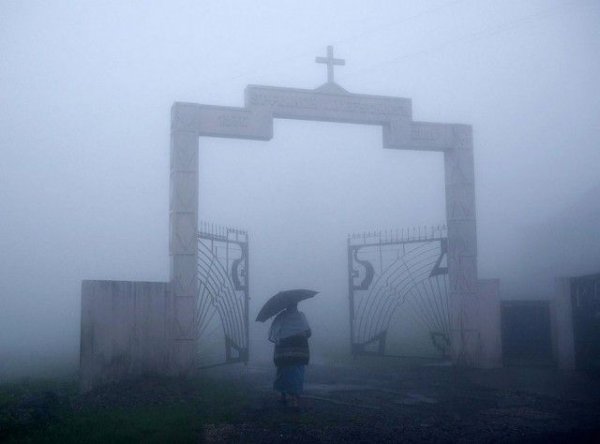 Самое влажное место на Земле (19 фото) Самое влажное место на Земле (19 фото)