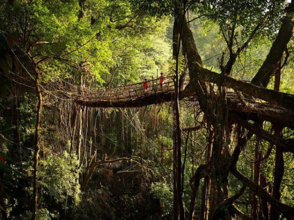 Самое влажное место на Земле (19 фото) Самое влажное место на Земле (19 фото)