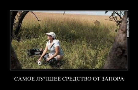 Демотиваторы прикольные, позитива не занимать. Демотиваторы прикольные, позитива не занимать.