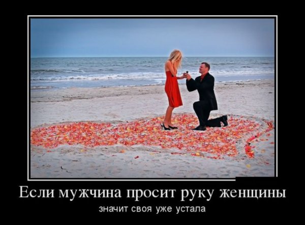 Демотиваторы №1016 (30 фото) Демотиваторы №1016 (30 фото)