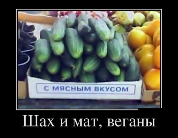 Демотиваторы №1017 (30 фото)