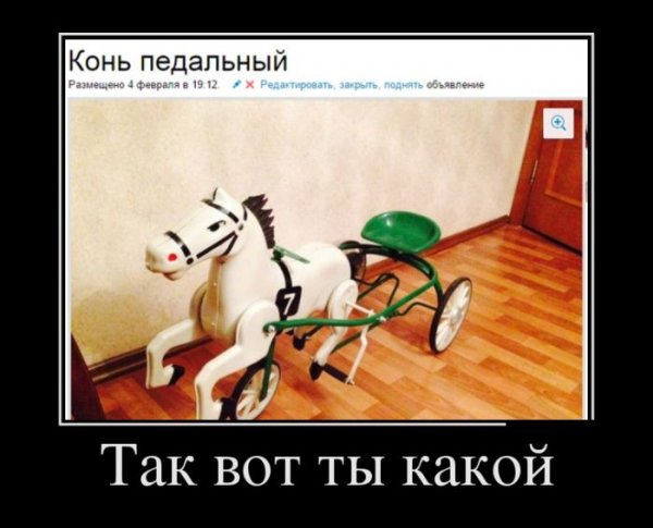 Демотиваторы №1017 (30 фото)