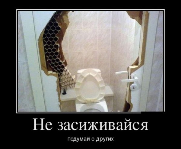 Демотиваторы №1017 (30 фото)