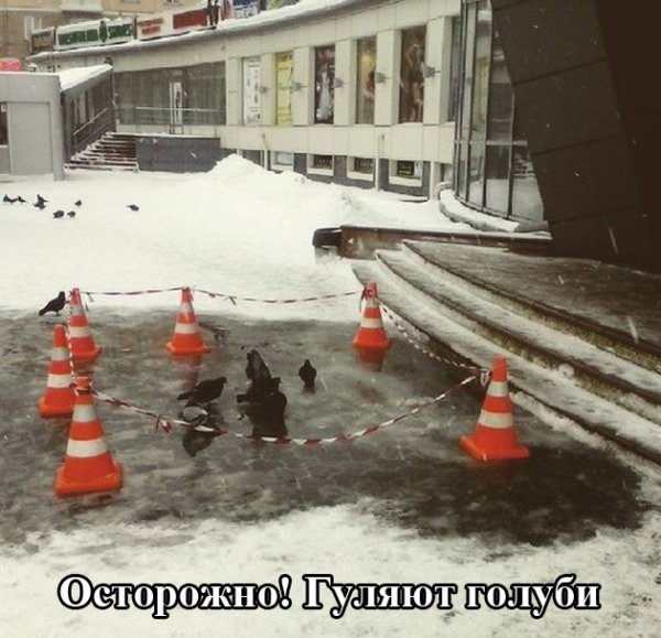 Подборка прикольных фото №1068 (96 фото) Подборка прикольных фото №1068 (96 фото)
