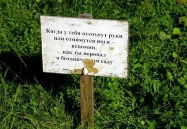 Народный креатив и полные маразмы в рекламе (40 фото)