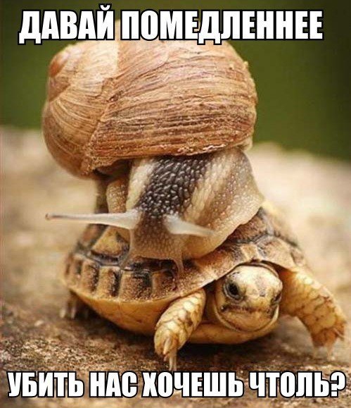 Подборка автоприколов (26 фото)