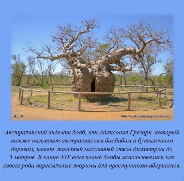 Интересные факты (15 фото) Интересные факты (15 фото)