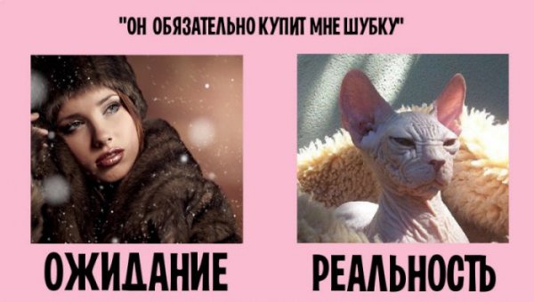 Ожидание и реальность в семейной жизни (10 фото) Ожидание и реальность в семейной жизни (10 фото)