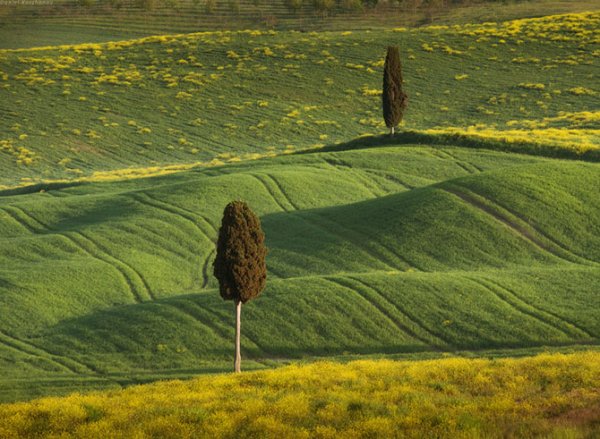 Прогулка по городам Тосканы: Pienza (60 фото) Прогулка по городам Тосканы: Pienza (60 фото)