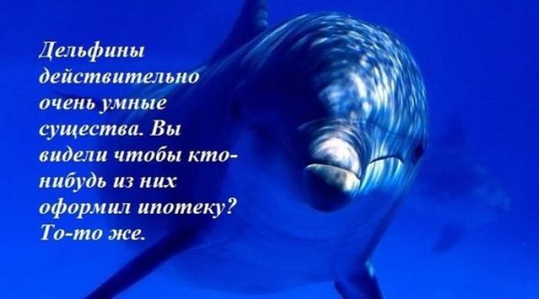 Подборка прикольных фото №1069 (94 фото) Подборка прикольных фото №1069 (94 фото)