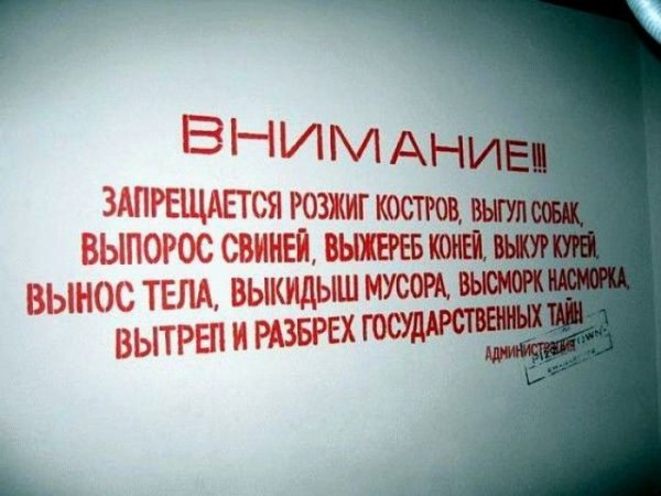 Прикольное настроение (100 фото)