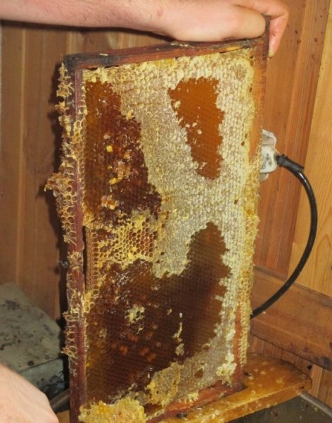 Как откачивается мед из рамок (2 фото)
