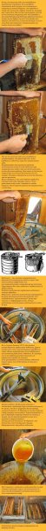 Как откачивается мед из рамок (2 фото)