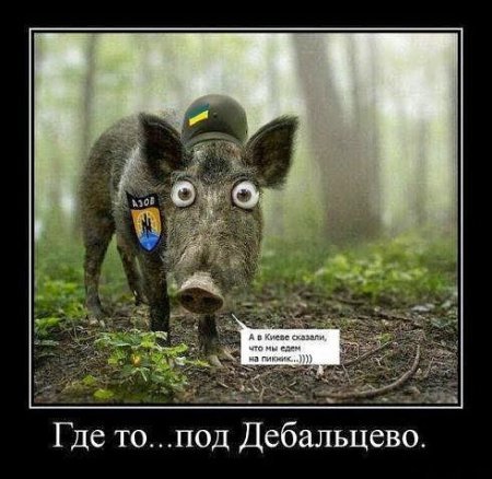 Демотиваторы, прикольная информация. Демотиваторы, прикольная информация.