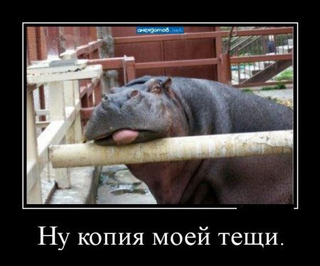 Демотиваторы, прикольная информация. Демотиваторы, прикольная информация.