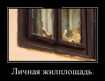 Демотиваторы, прикольная информация. Демотиваторы, прикольная информация.
